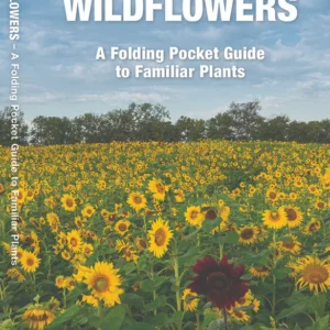 Ohio Trees & Wildflowers Pocket Guide