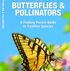 North Carolina Butterflies & Pollinators Pocket Guide
