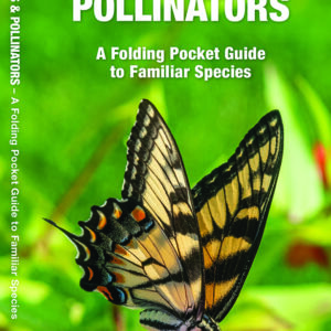 Florida Butterflies & Pollinators Pocket Guide