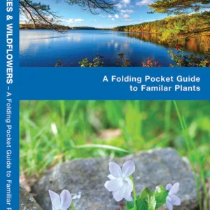 Rhode Island Trees & Wildflowers Pocket Guide