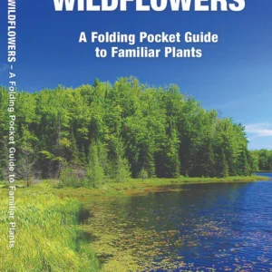 Wisconsin Trees & Wildflowers Pocket Guide