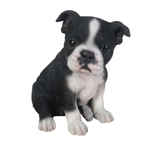 Boston Terrier Puppy Statue Figurine