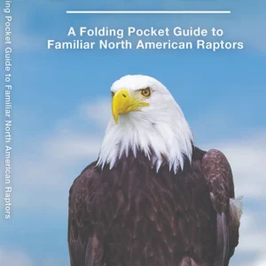 Birds of Prey Pocket Guide
