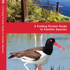 Rhode Island Birds Pocket Guide
