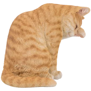 Orange Tabby Cat American Shorthair Washing Statue Figurine