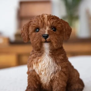 Baby Cavapoo Chocolate Statue Figurine