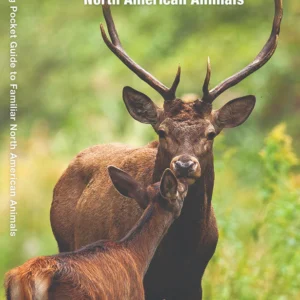 Mammals Pocket Guide