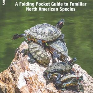 Reptiles & Amphibians Pocket Guide