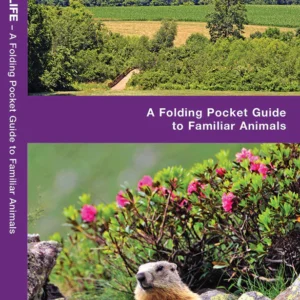 New Jersey Wildlife Pocket Guide