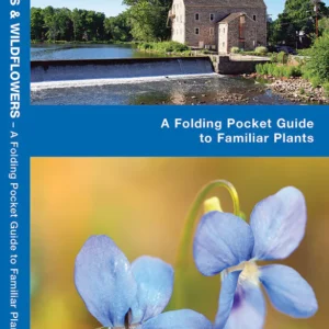 New Jersey Trees & Wildflowers Pocket Guide