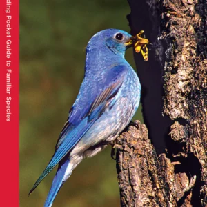 Idaho Birds Pocket Guide