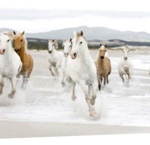 Horses on the Beach (detail) – 24 x 12 in. Gallery Wrapped Canvas