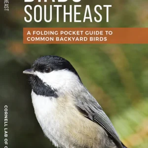 Feeder Birds Of The Southeast Pocket Guide