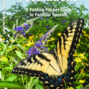 Pennsylvania Butterflies & Pollinators Pocket Guide