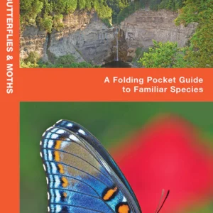 New York State Butterflies & Moths Pocket Guide
