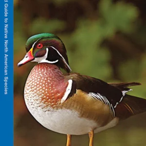Waterfowl Pocket Guide
