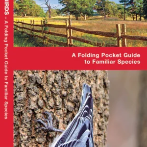 Massachusetts Birds Pocket Guide