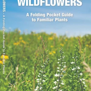 Iowa Trees & Wildflowers Pocket Guide