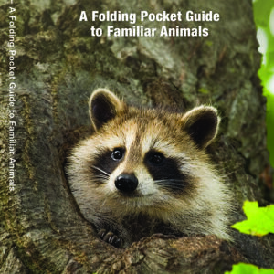 Arkansas Wildlife Pocket Guide