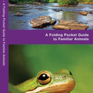 Georgia Wildlife Pocket Guide