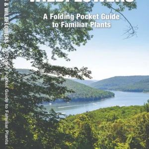Pennsylvania Trees & Wildflowers Pocket Guide
