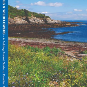 New England Trees & Wildflowers Pocket Guide