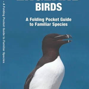 New England Birds Pocket Guide