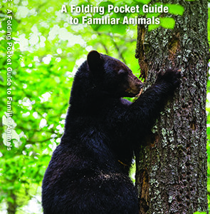 Tennessee Wildlife Pocket Guide