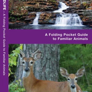 Pennsylvania Wildlife Pocket Guide