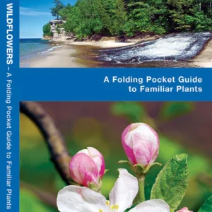 Michigan Trees & Wildflowers Pocket Guide