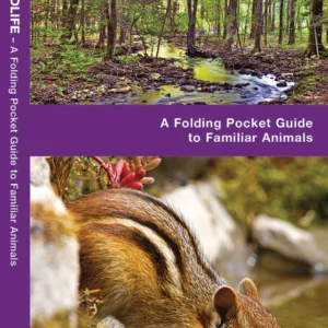 Connecticut Wildlife Pocket Guide
