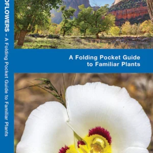Utah Trees & Wildflowers Pocket Guide