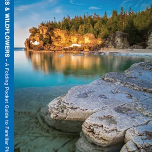 Great Lakes Trees & Wildflowers Pocket Guide