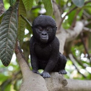 Gorilla Baby Statue Figurine