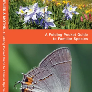 Colorado Butterflies & Moths Pocket Guide