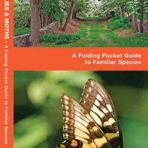 Virginia Butterflies & Moths Pocket Guide