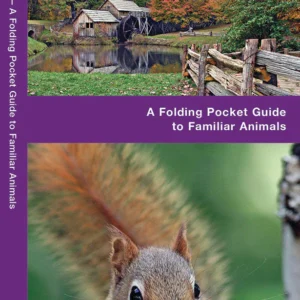 Virginia Wildlife Pocket Guide