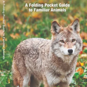 Missouri Wildlife Pocket Guide