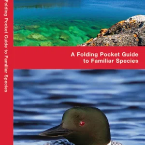 Ontario Birds Pocket Guide