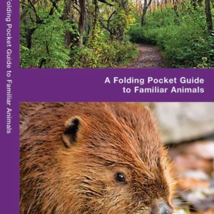 Ohio Wildlife Pocket Guide