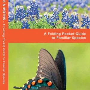 Texas Butterflies & Moths Pocket Guide