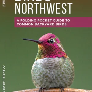 Feeder Birds Of The Northwest Pocket Guide