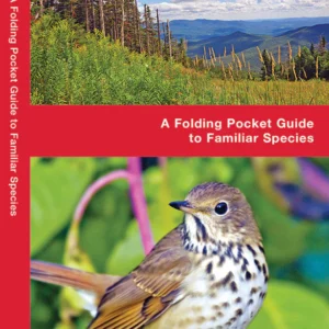 Vermont Birds Pocket Guide