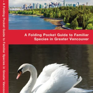 Vancouver Birds Pocket Guide