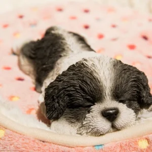 Black/White Shih Tzu Puppy Sleeping Statue Figurine