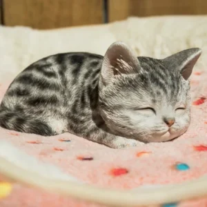 Grey Tabby Kitten Sleeping Statue Figurine