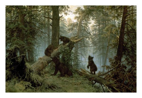Morning_Pine_Forest_Print Morning in a Pine Forest by I. Shishkin – 24 x 16 in. Premium Paper Print