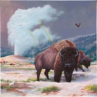 Spirit of Yellowstone - 14" x 14" - Gallery Wrapped Canvas