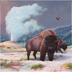 Spirit of Yellowstone - 14" x 14" - Gallery Wrapped Canvas