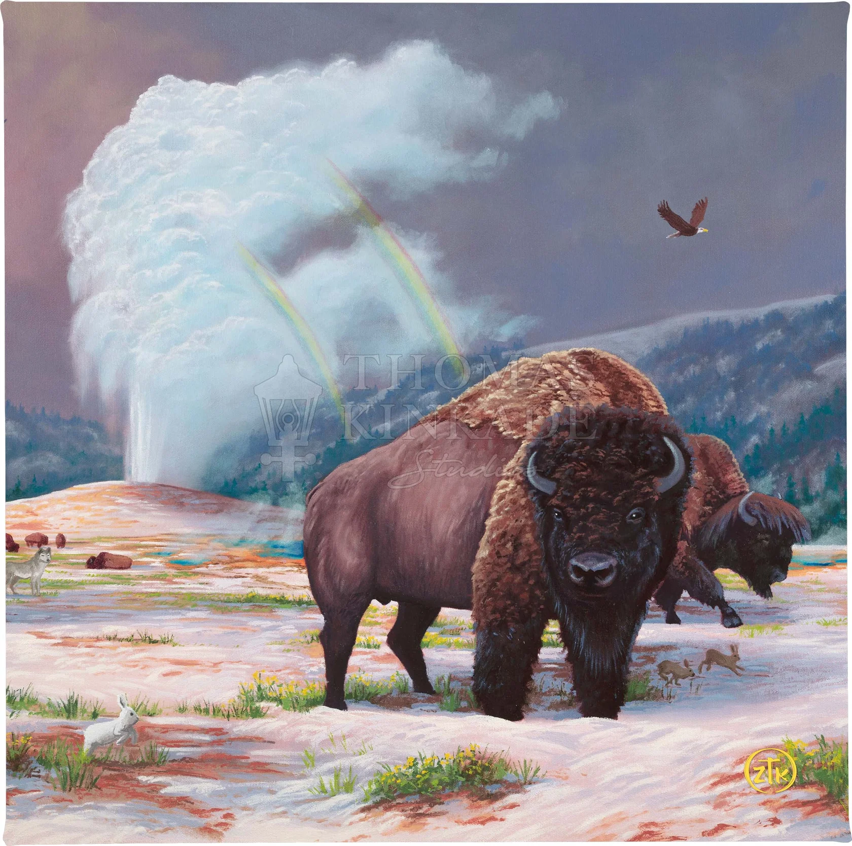 Spirit_of_Yellowstone Spirit of Yellowstone - 14" x 14" - Gallery Wrapped Canvas